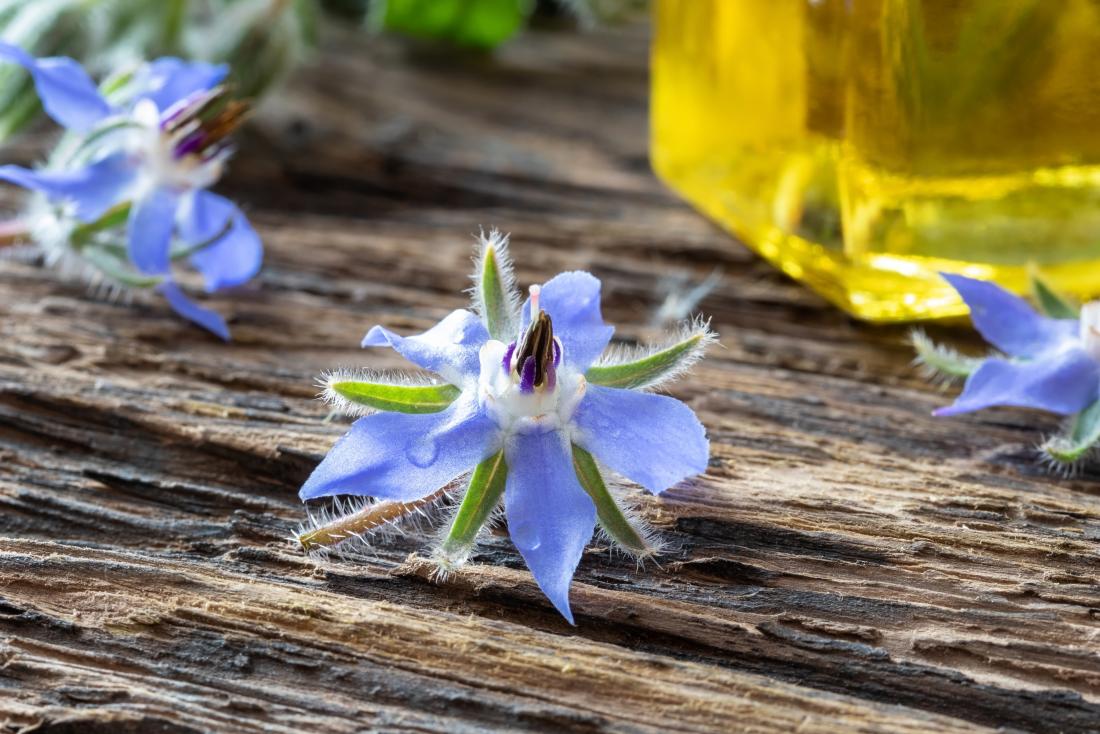 How to Use Ayurvedic Herbs to Treat Joint Pain Naturally